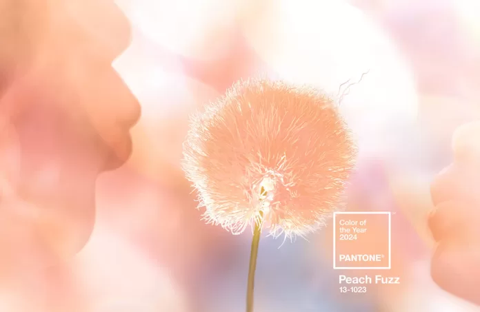 pantone-color-of-the-year-2024-peach-fuzz